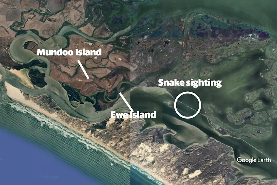 A map of Mundoo Island and Ewe Island, showing where the snake was seen.