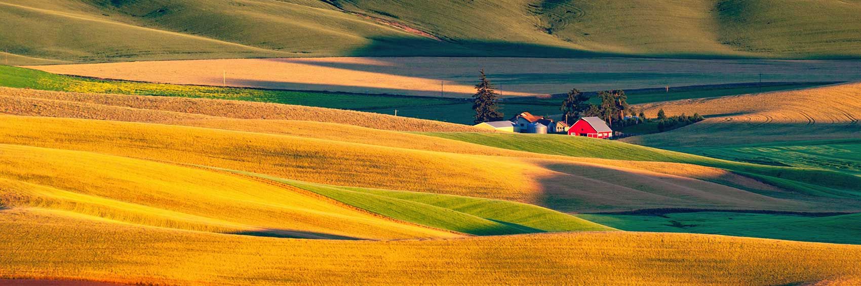 Market Perspectives October 2025 | Barclays Private Bank