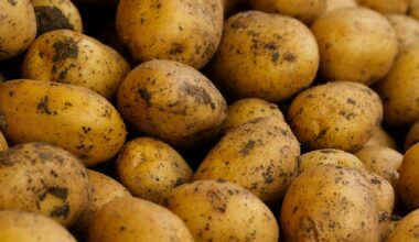 Amber root natural winter skin hydrator