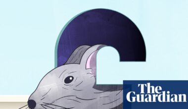 Rats! How to banish rodents, bedbugs and other pests from your home | Home improvements