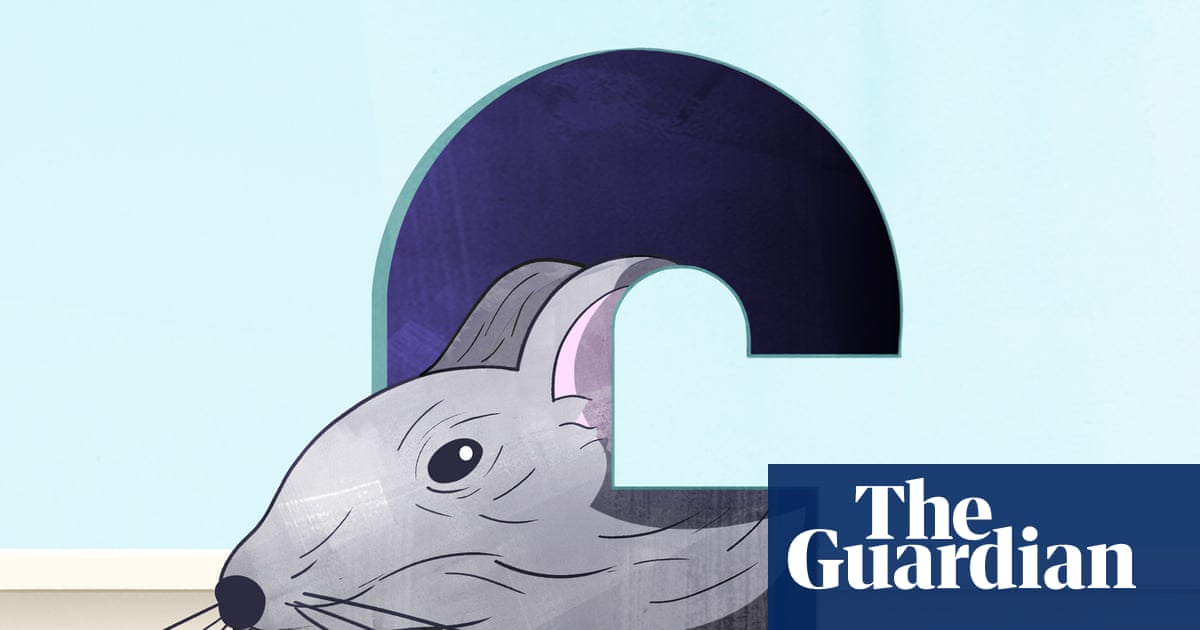 Rats! How to banish rodents, bedbugs and other pests from your home | Home improvements