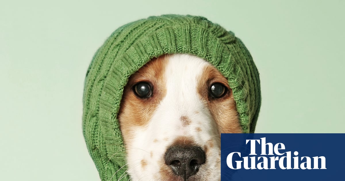 Humanish by Justin Gregg review – how much of a person is your pet? | Science and nature books