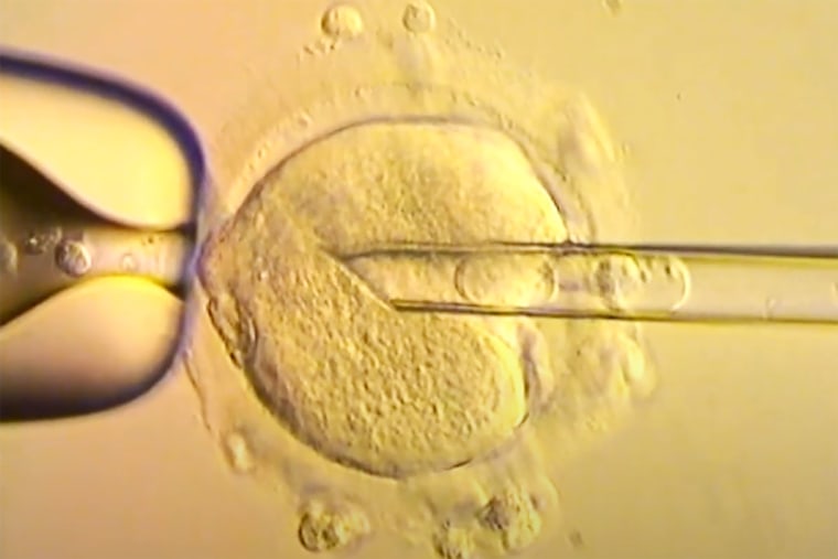 Video released by the Newcastle Fertility Centre shows the delicate IVF procedure. 