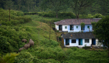 Looking at human-wildlife conflict through a data-first lens