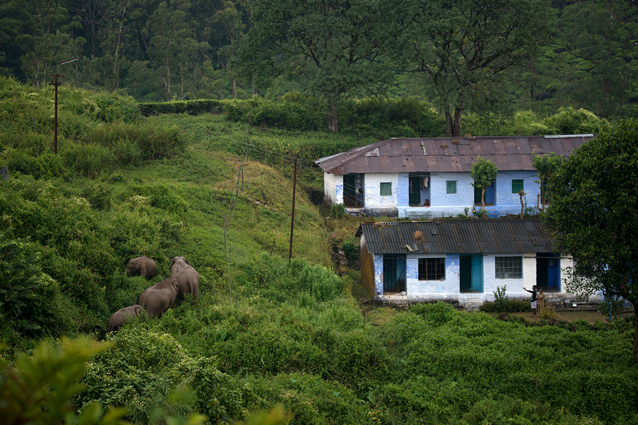 Looking at human-wildlife conflict through a data-first lens