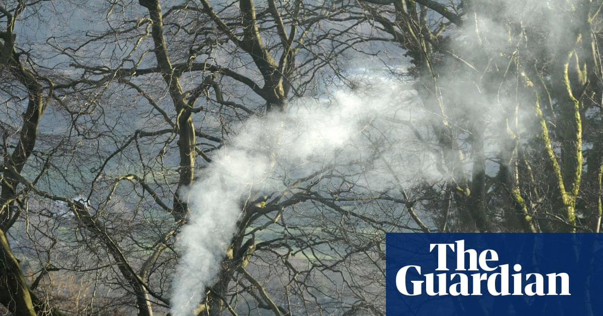 Only one prosecution made after 15,195 wood-burning complaints in a year in England | Air pollution