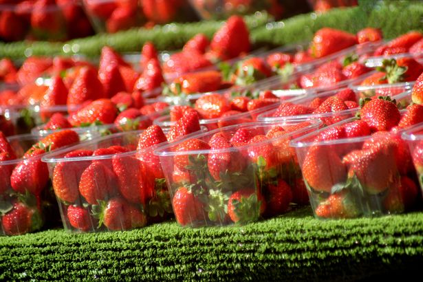 Abstract Colourfull Strawberries