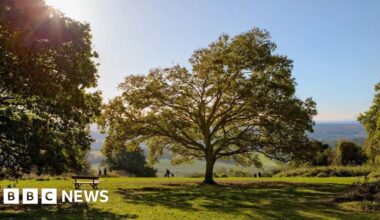 Fund of £50k to help fight climate change impacts in Surrey