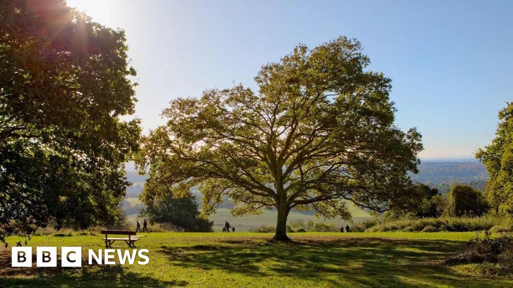 Fund of £50k to help fight climate change impacts in Surrey