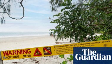 Boy, 14, in hospital after crocodile attack while fishing at far north Queensland beach | Queensland