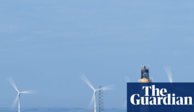 Offshore windfarm projects may be exempted from new UK nature rules | Environment
