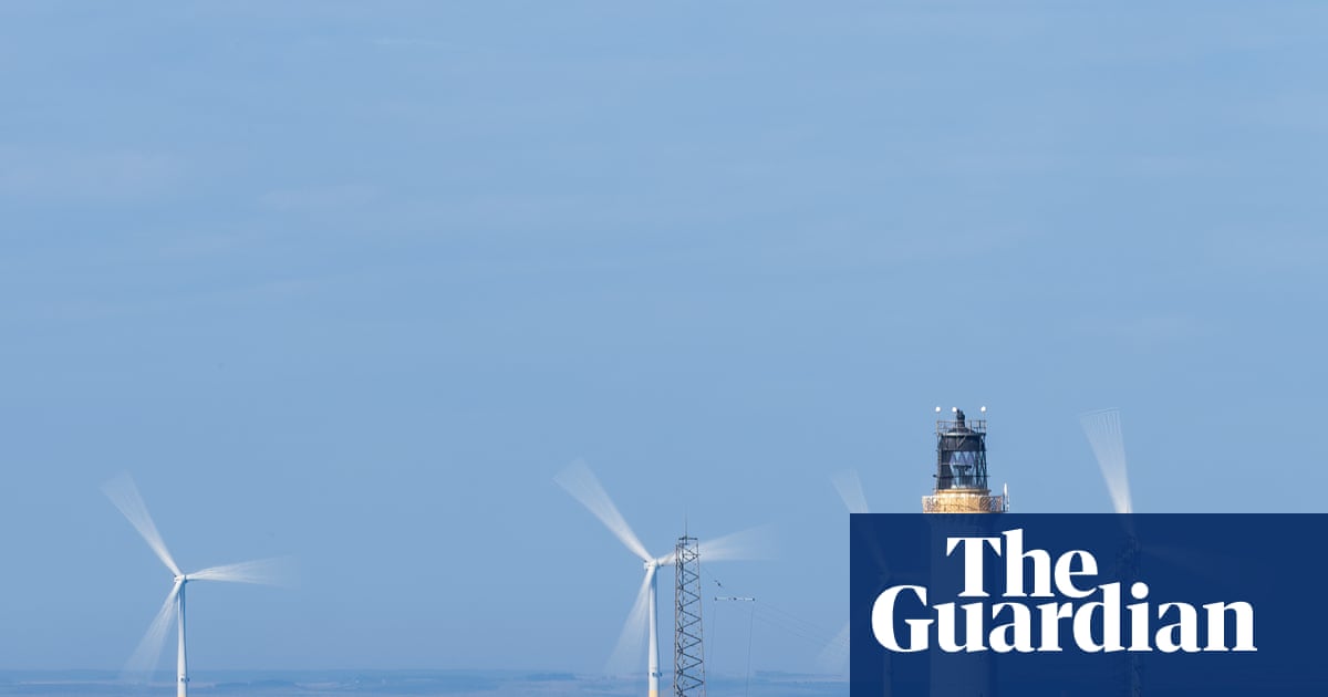 Offshore windfarm projects may be exempted from new UK nature rules | Environment