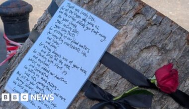 Mystery ode to 'lovely tree' in Hull felled by Storm Amy
