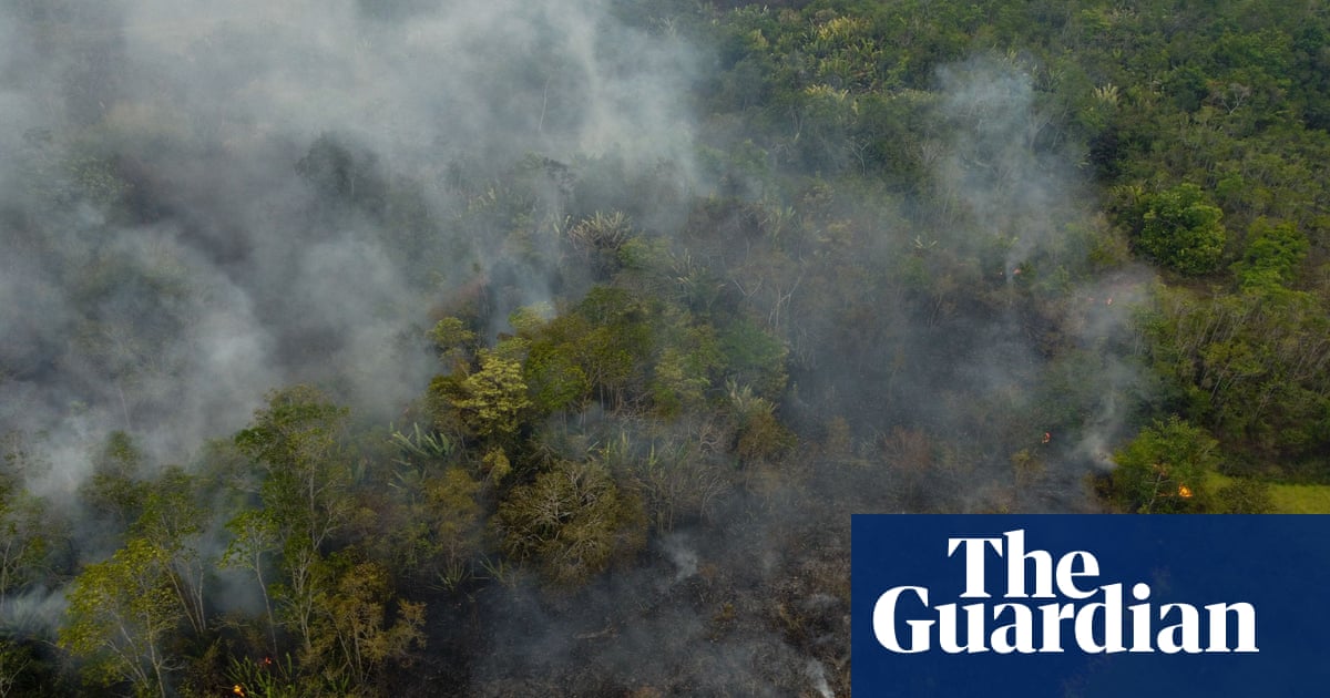 ‘Dismal’ health of world’s forests is threat to humanity, report warns | Deforestation
