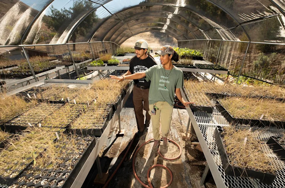 A man and a woman walk under shade cloth through tables covered with native grasses and plants.