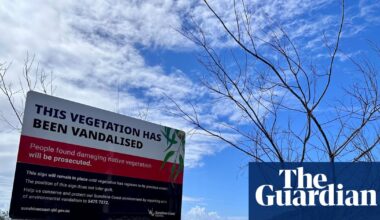 Stolen views, shipping containers and ‘shame signs’: do Australia’s tree wars need a new solution? | Trees and forests