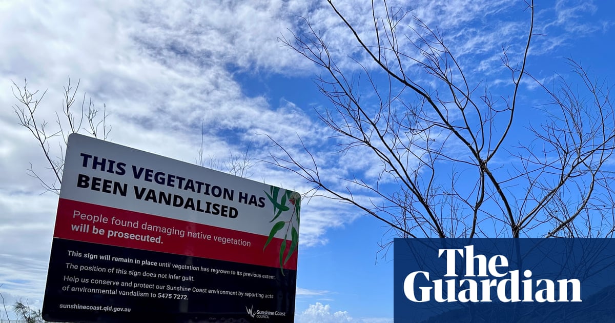 Stolen views, shipping containers and ‘shame signs’: do Australia’s tree wars need a new solution? | Trees and forests