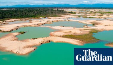 Illegal gold mining clears 140,000 hectares of Peruvian Amazon | Deforestation
