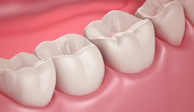 Discovering the role of lingual and buccal cells in tooth development