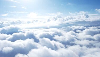 Interactive keeps City of Port Phillips operating in the cloud – ARN