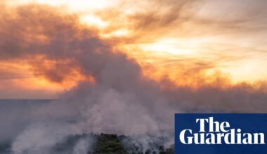 CO2 from wildfires increases by 9% as climate crisis supercharges infernos | Wildfires