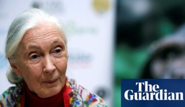 China remembers ‘guiding light’ Jane Goodall’s wildlife conservation work | Jane Goodall