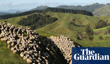 New Zealand accused of ‘full-blown climate denial’ over cuts to methane reduction targets | New Zealand