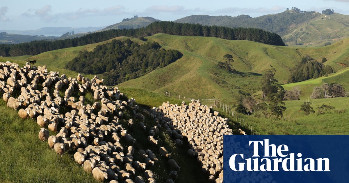 New Zealand accused of ‘full-blown climate denial’ over cuts to methane reduction targets | New Zealand