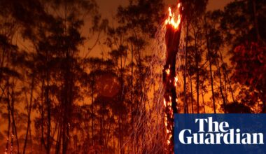 World’s climate plans fall drastically short of action needed, analysis shows | Cop30