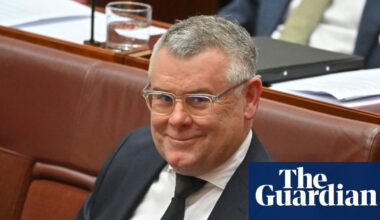 Environment minister could approve projects at odds with nature laws under Labor overhaul | Australian politics