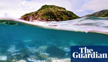 Planet’s first catastrophic climate tipping point reached, report says, with coral reefs facing ‘widespread dieback’ | Climate crisis