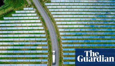 Global renewable energy generation surpasses coal for first time | Renewable energy