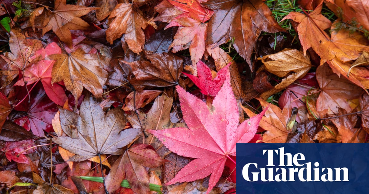 National Trust and TV wildlife expert team up on autumn nature campaign | Autumn