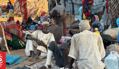 460 people reported killed in Sudan maternity hospital massacre