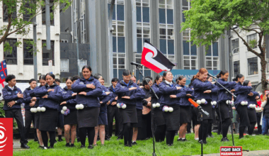 Hundreds gather across Aotearoa calling on government to honour Te Tiriti