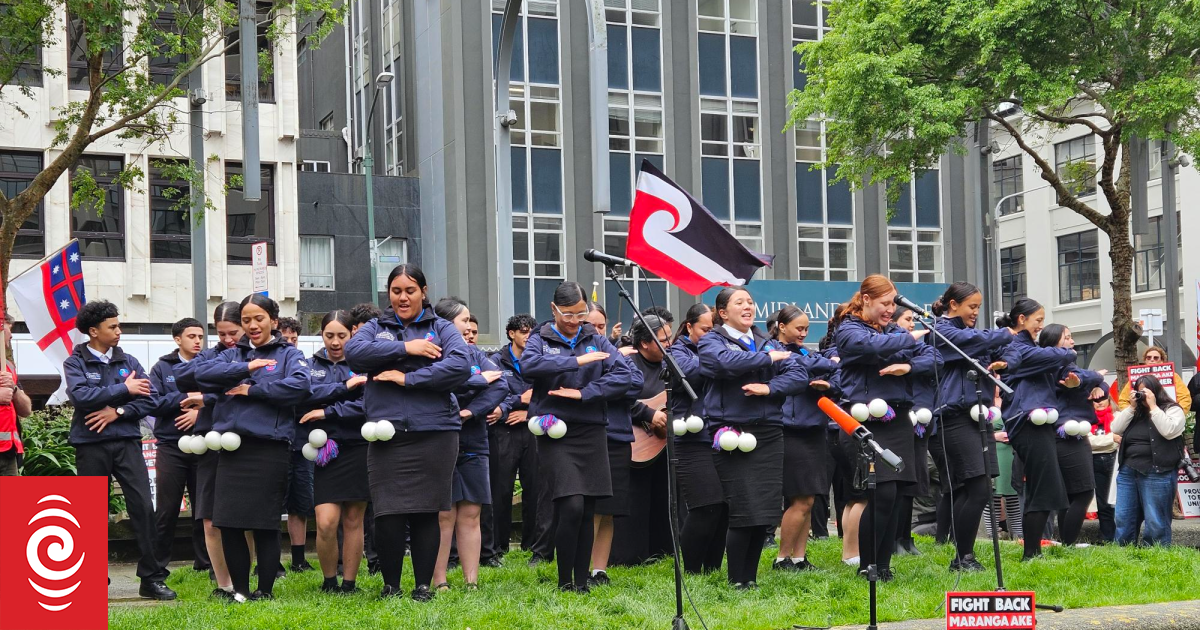 Hundreds gather across Aotearoa calling on government to honour Te Tiriti