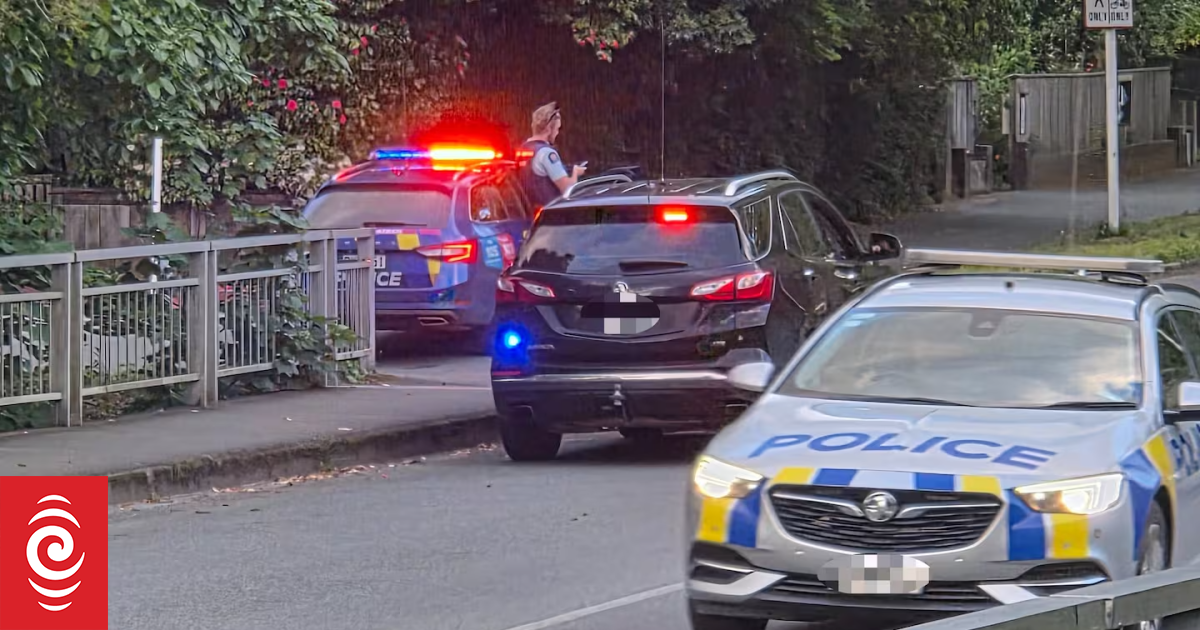 Nelson man remanded after police standoff and bomb threat charges