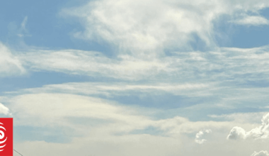 Parts of Southland, Otago face week without power after weather damages lines