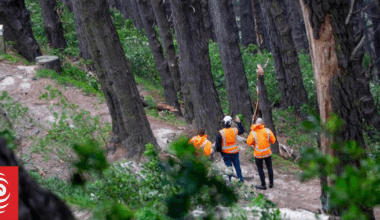 'It could have been any of us': Man killed by branch in Wellington wind found by walker