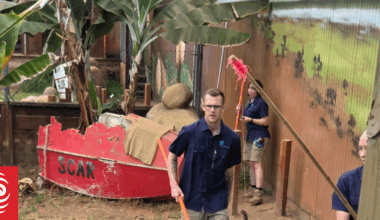 NZ's only saltwater crocodiles have zookeepers on their toes