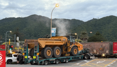 Commuters rush to help as train hits truck in Waikanae