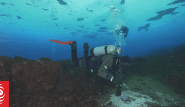 Scientists discovered something alarming seeping out from beneath the ocean around Antarctica