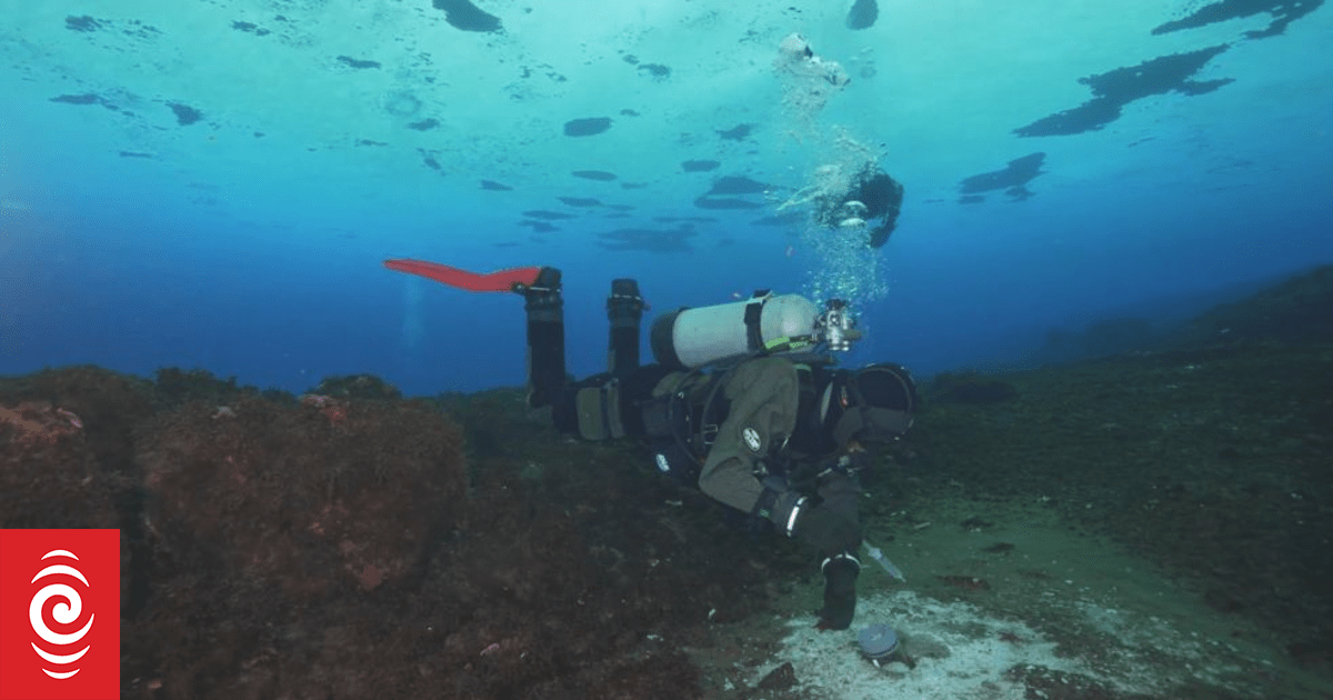 Scientists discovered something alarming seeping out from beneath the ocean around Antarctica