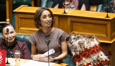 Te Pāti Māori MP Oriini Kaipara publicly backs under-fire Mariameno Kapa-Kingi