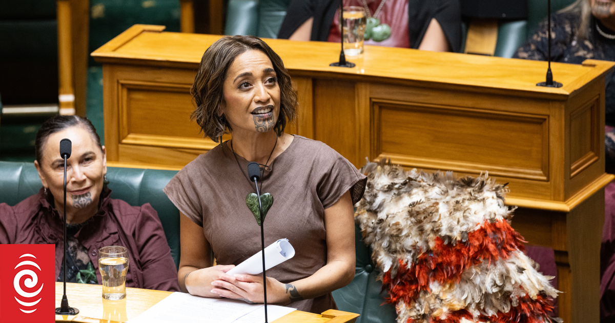 Te Pāti Māori MP Oriini Kaipara publicly backs under-fire Mariameno Kapa-Kingi