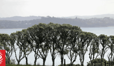 Two people trapped on cliff face in Auckland
