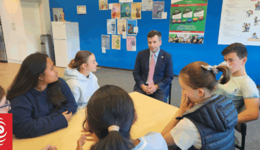 Different educational regions could help attendance battle - Seymour