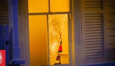 'Disgusting coward' - Winston Peters says window smashed at his home, police called