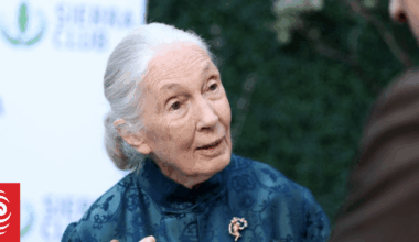 Wildlife advocate, primate expert Jane Goodall dies at 91