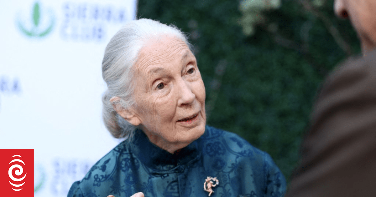 Wildlife advocate, primate expert Jane Goodall dies at 91